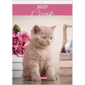 LizzyCalendar Falinaptár A4 tűzött Cicák