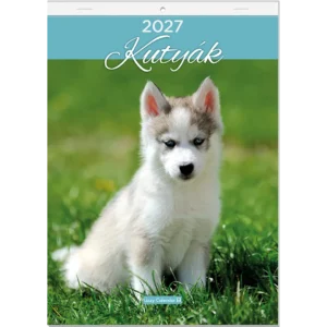 LizzyCalendar Falinaptár A4 tűzött Kutyák