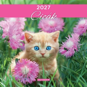 LizzyCalendar Falinaptár lemez nagy 30x30 Cicák