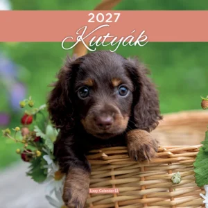 LizzyCalendar Falinaptár lemez nagy 30x30 Kutyák