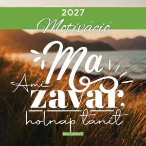 LizzyCalendar Falinaptár lemez nagy 30x30 Motiváció